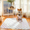 Washable Dog Training Mat
