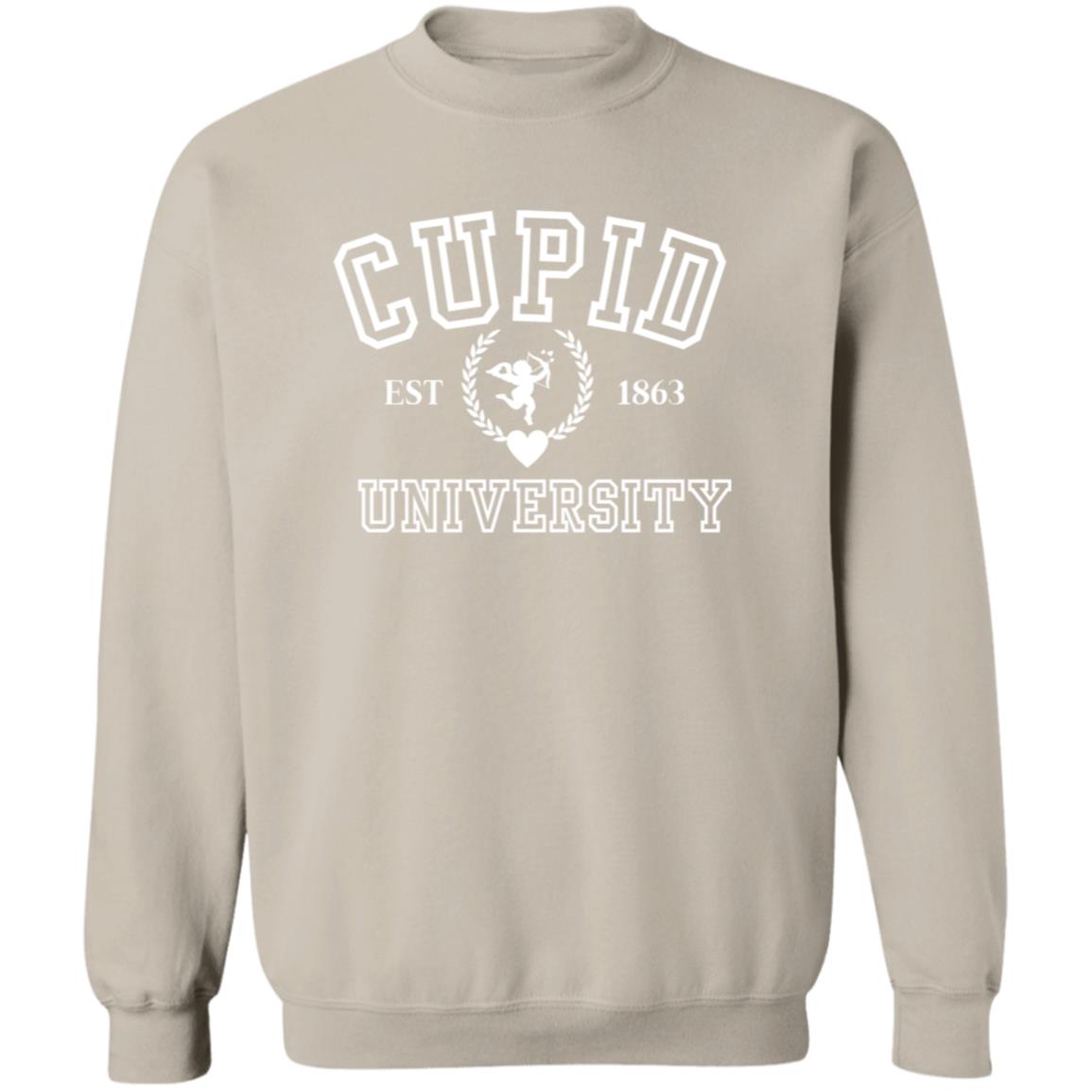 Cupid University Sweatshirt, Cute Valentine's Day Shirt, Cupid Hoodie