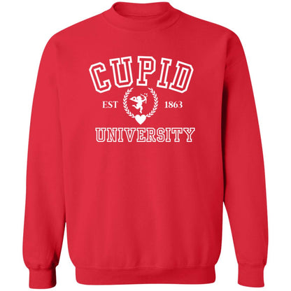 Cupid University Sweatshirt, Cute Valentine's Day Shirt, Cupid Hoodie