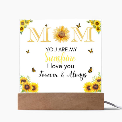 Acrylic Square Plaque Gift, Excellent for Mother's Day, Christmas, Thanksgiving or just say I Love You