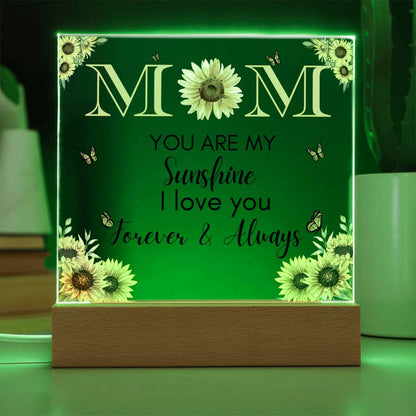 Acrylic Square Plaque Gift, Birthday Mother's Day Christmas Thanksgiving Gifts For Mom