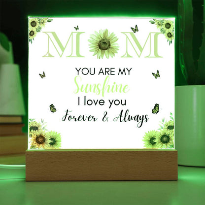 Acrylic Square Plaque Gift, Excellent for Mother's Day, Christmas, Thanksgiving or just say I Love You